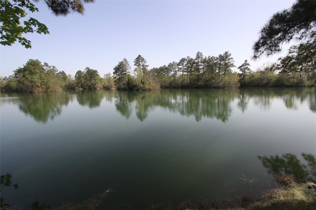 17 Smith Loop N, Cleveland, TX 77327 - photo 5