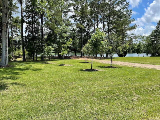 17 Smith Loop N, Cleveland, TX 77327 - photo 7