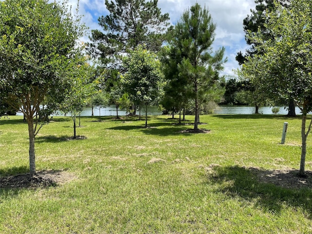 17 Smith Loop N, Cleveland, TX 77327 - photo 9