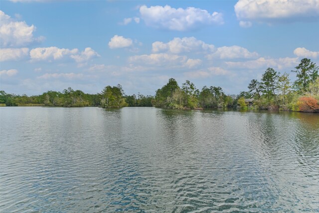 17 Smith Loop N, Cleveland, TX 77327 - photo 37