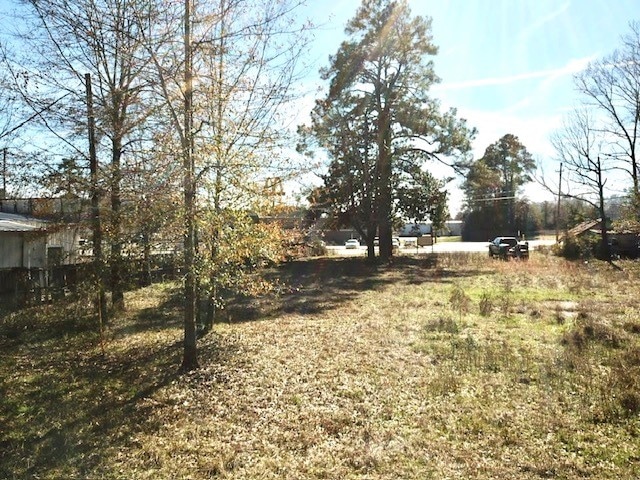 Listing photo 2 for 10 Cobb Ml, Woodville TX 75979