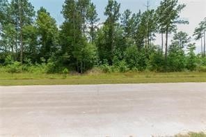 1339 Rd 5035, Cleveland TX, 77327 land for sale