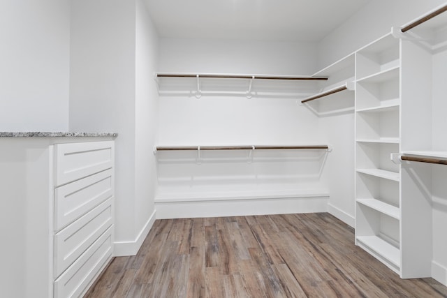 spacious closet with hardwood / wood-style flooring