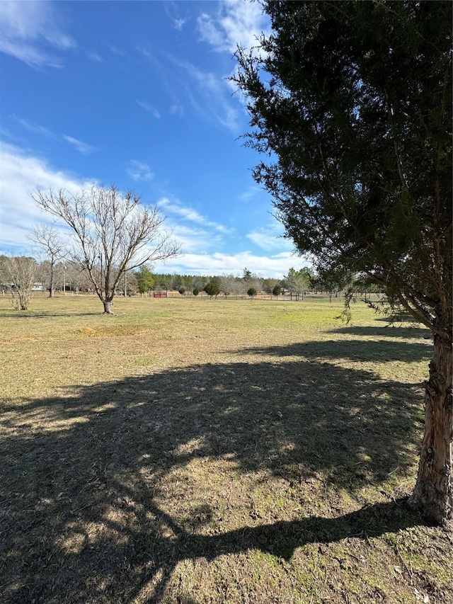 view of yard with a rural view