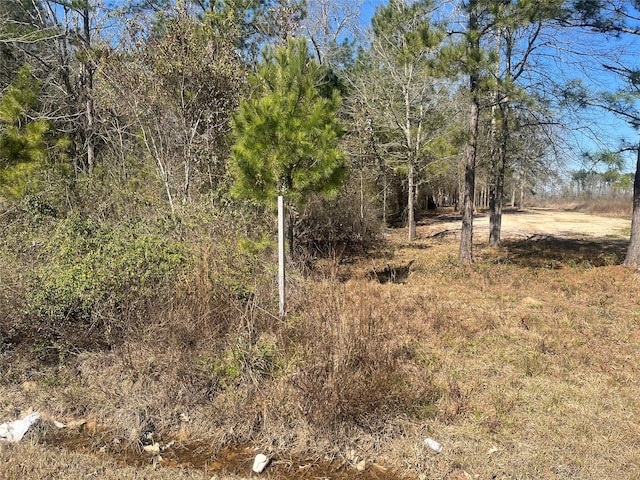 Listing photo 2 for 1997 County Road 3405, Cleveland TX 77327