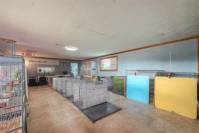 interior space with concrete flooring and a textured ceiling