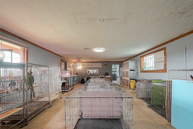 kitchen featuring plenty of natural light, a textured ceiling, and ornamental molding