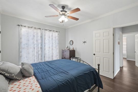 bedroom with ceiling fan, ornamental molding, dark wood-type flooring, and multiple windows