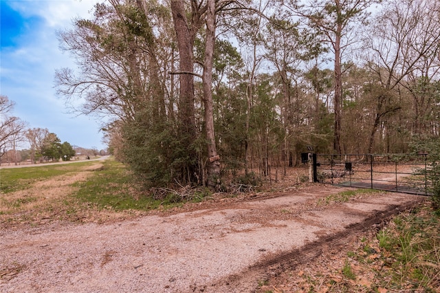 1000 Lovell Ln, Trinity TX, 75862 land for sale