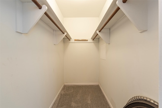 walk in closet featuring dark colored carpet