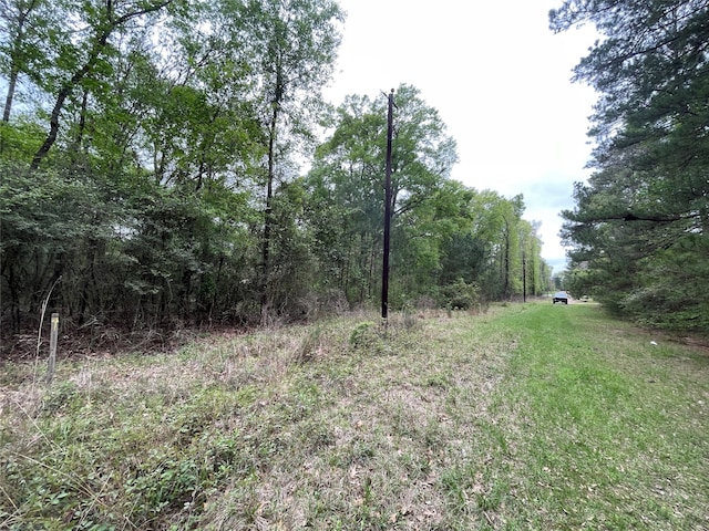 286 Maple Rd, Corrigan TX, 75939 land for sale