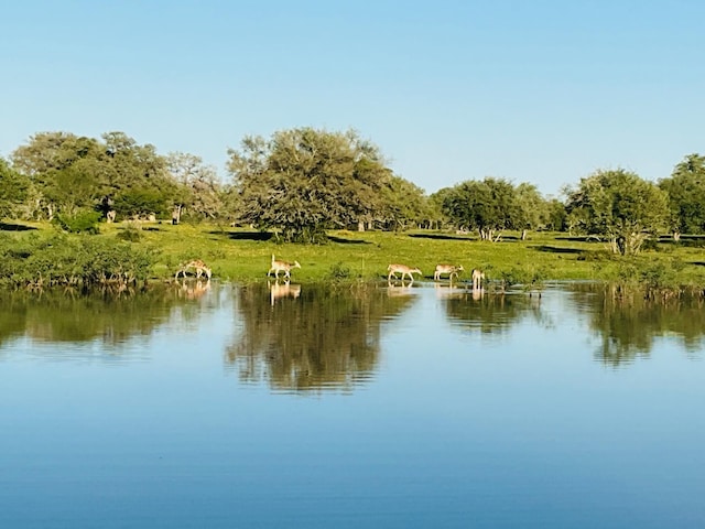 10 Garrett Rd, Yoakum, TX 77995 - photo 5
