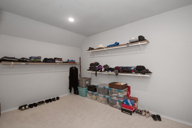 walk in closet featuring lofted ceiling and carpet flooring