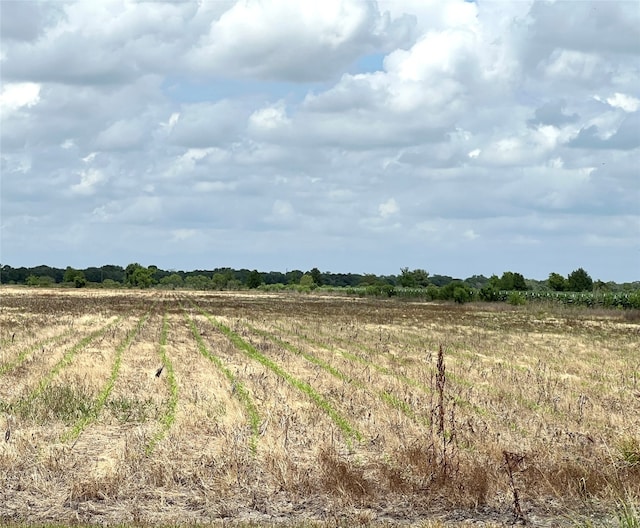 00 County Rd 390, El Campo TX, 77437 land for sale