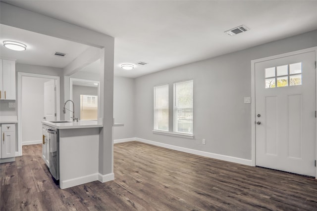 entrance foyer featuring sink and dark wood-type flooring