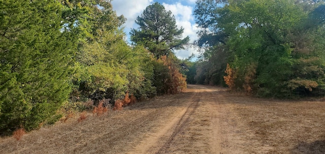 Listing photo 2 for LOT23 Deerwood Dr, Hempstead TX 77445