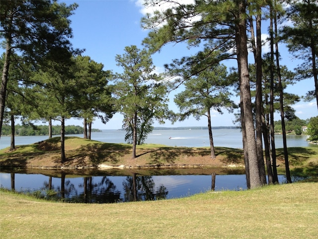 view of water feature