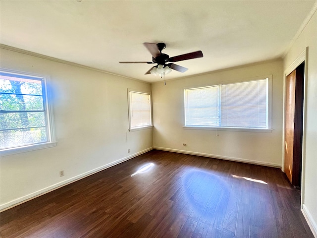 unfurnished room with ceiling fan, dark hardwood / wood-style floors, and crown molding