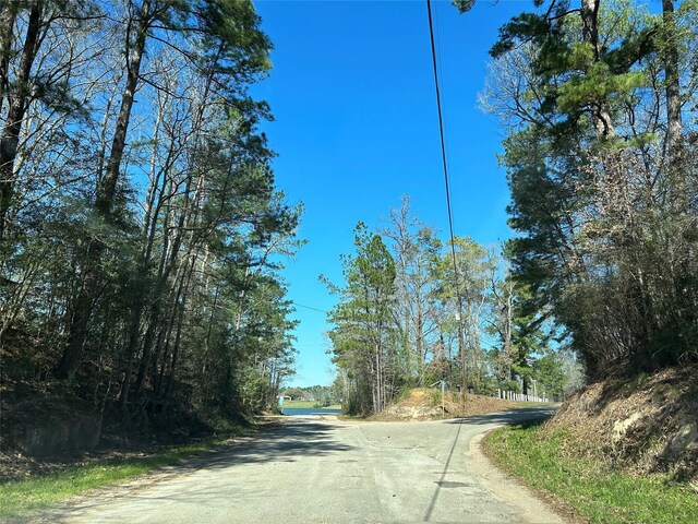 0 Royal Creek Rd Unit A, Willis, TX 77303 - photo 12