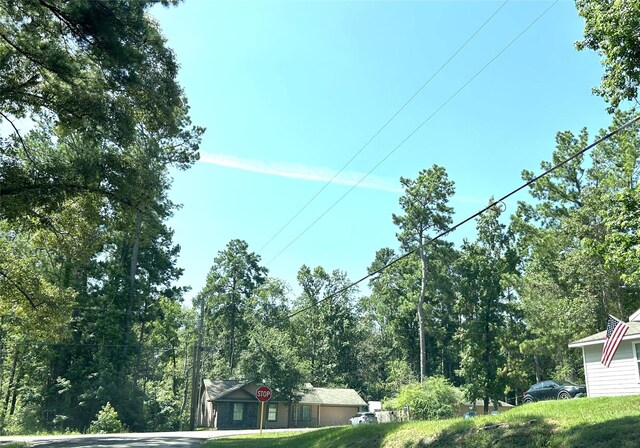 0 Royal Creek Rd Unit A, Willis, TX 77303 - photo 24