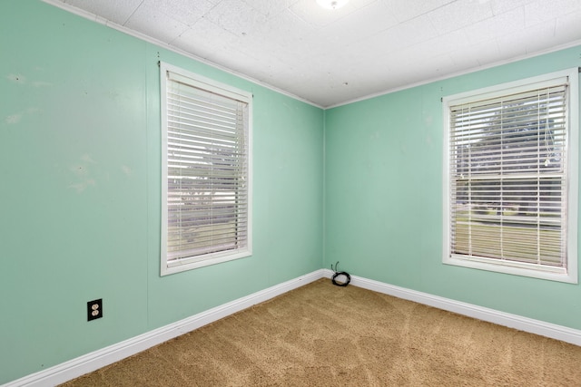 spare room featuring light carpet and ornamental molding