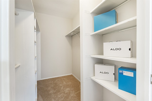 walk in closet featuring carpet flooring