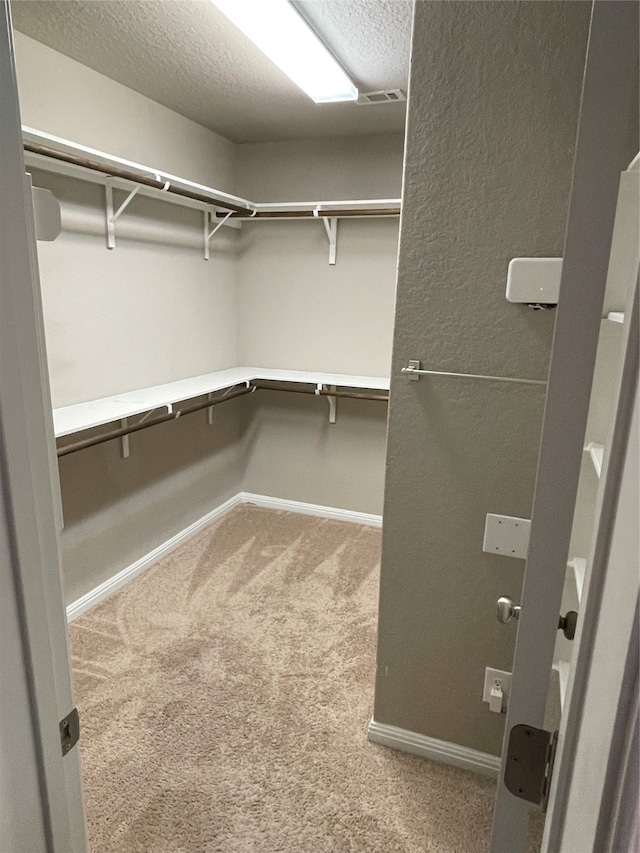 walk in closet featuring carpet flooring