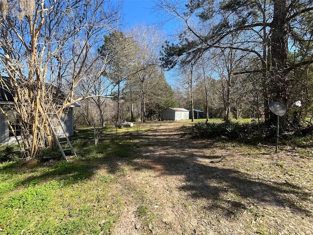 view of yard featuring a storage shed