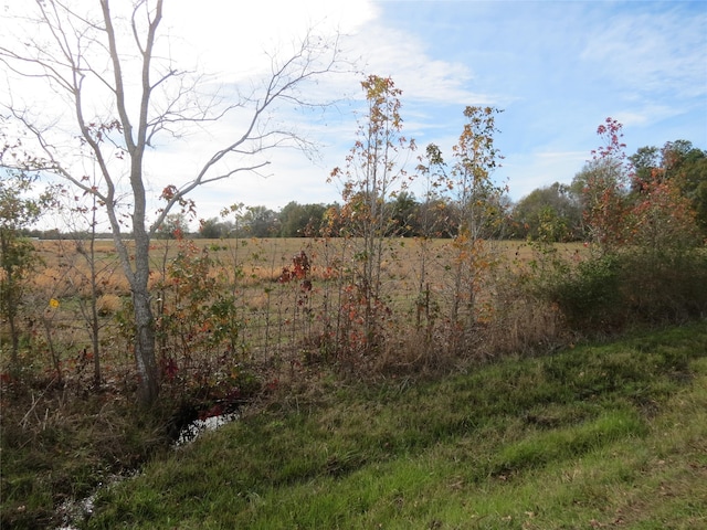14010 Longstreet Rd Unit 7, Willis, TX 77318 - photo 4