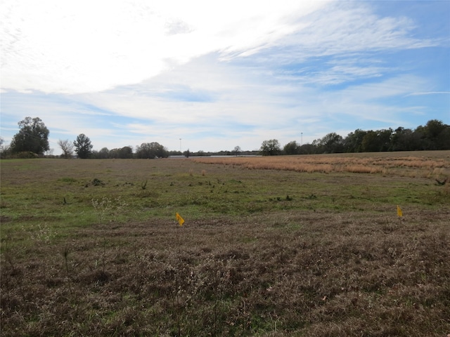 14010 Longstreet Rd Unit 7, Willis, TX 77318 - photo 8