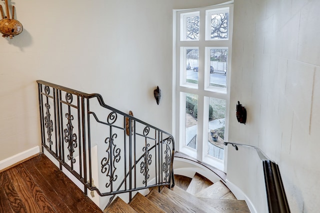 staircase with hardwood / wood-style floors and a wealth of natural light