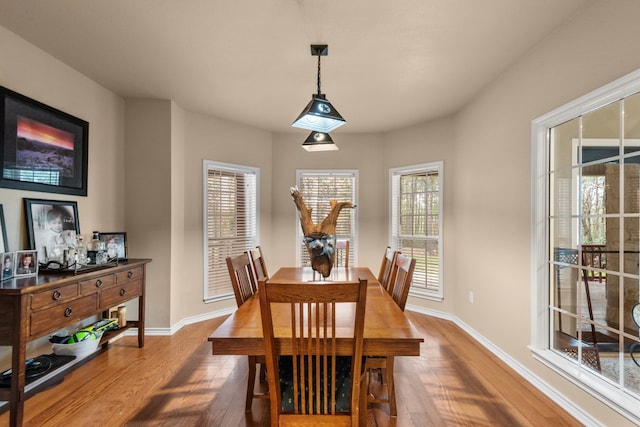 dining room with light hardwood / wood-style flooring