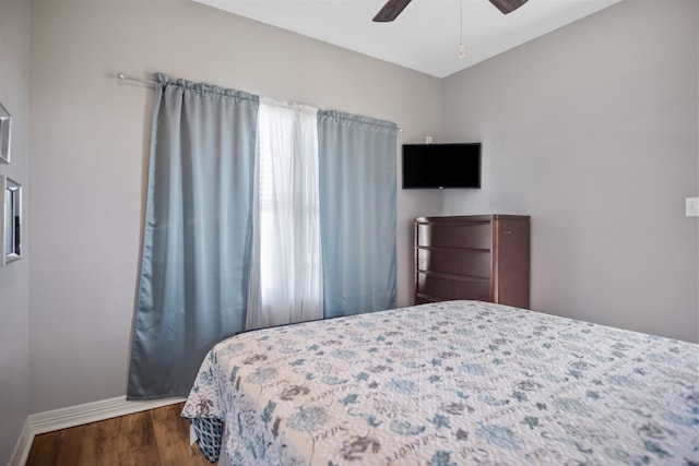 bedroom featuring dark hardwood / wood-style flooring, ceiling fan, and multiple windows