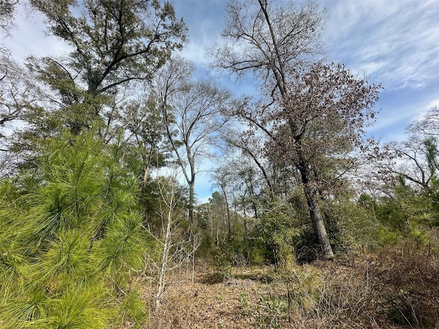 Listing photo 3 for TBD Remington Rd, Huntsville TX 77340