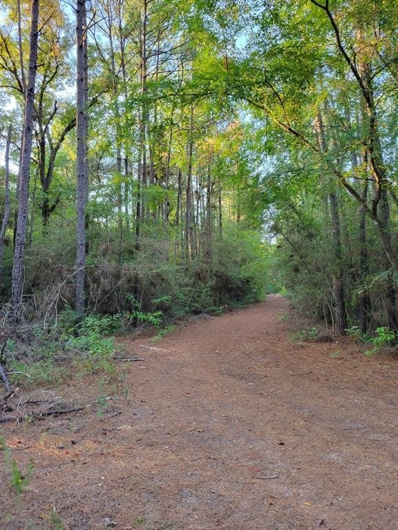 TBD Honeylocust Ln, Plantersville TX, 77363 land for sale