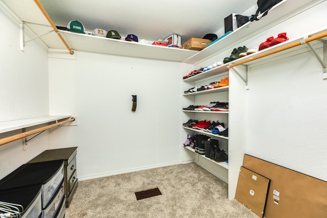 spacious closet with light carpet