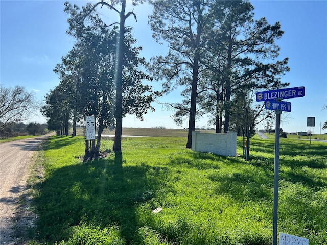 001 Blezinger Rd, New Ulm TX, 78950 land for sale