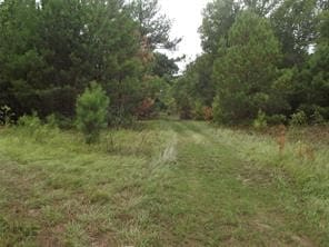 Listing photo 2 for 948 Fm 3277, Livingston TX 77351