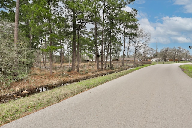 Listing photo 3 for 30303 Misty Meadow Dr, Magnolia TX 77355