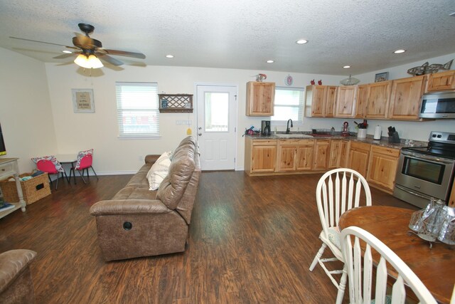 kitchen featuring appliances with stainless steel finishes, dark hardwood / wood-style flooring, ceiling fan, and sink