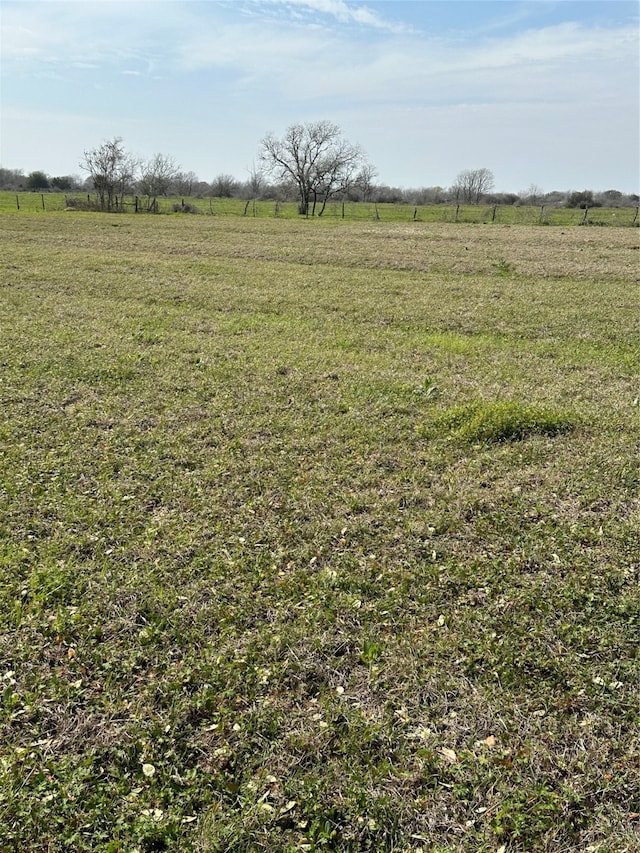 view of local wilderness with a rural view