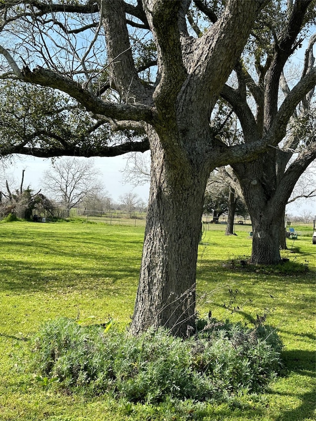 view of yard with a rural view