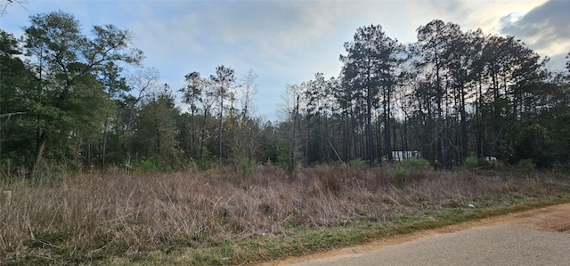 0000 Humbird Dr, Cleveland TX, 77328 land for sale