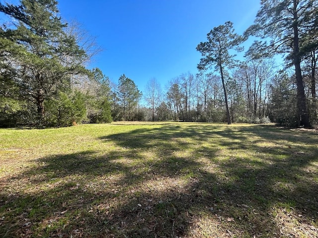 68 Artesian Ave, Cleveland TX, 77327 land for sale