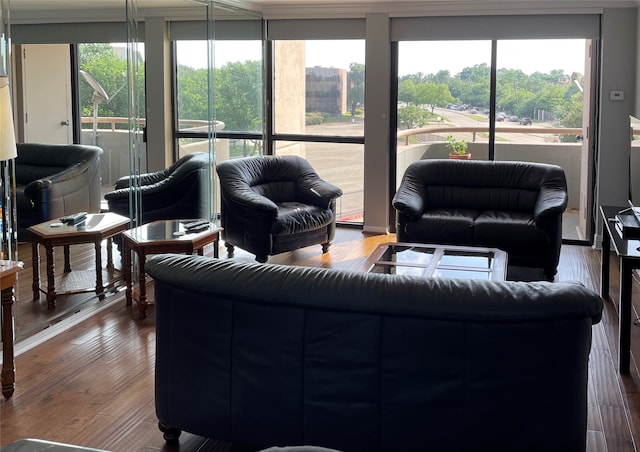 living room with wood-type flooring