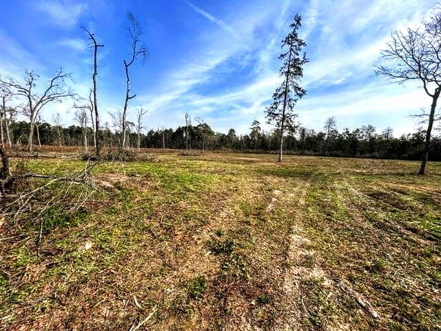 24340 Weeren Rd, Montgomery TX, 77316 land for sale