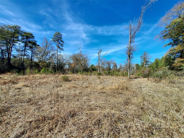 613 Fm 2663, Crockett, TX 75835 - photo 6