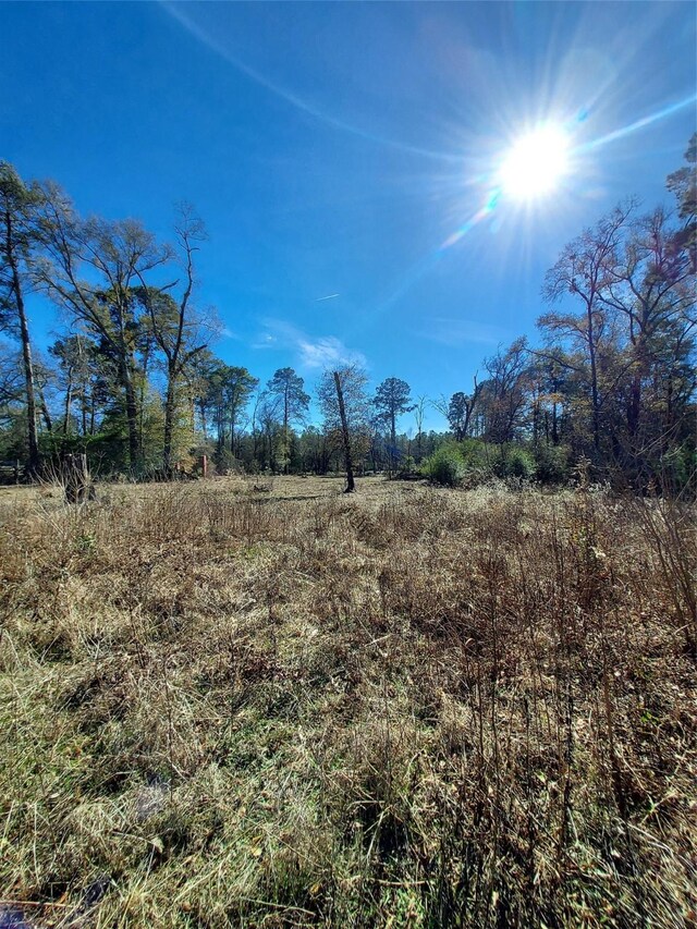 613 Fm 2663, Crockett, TX 75835 - photo 7