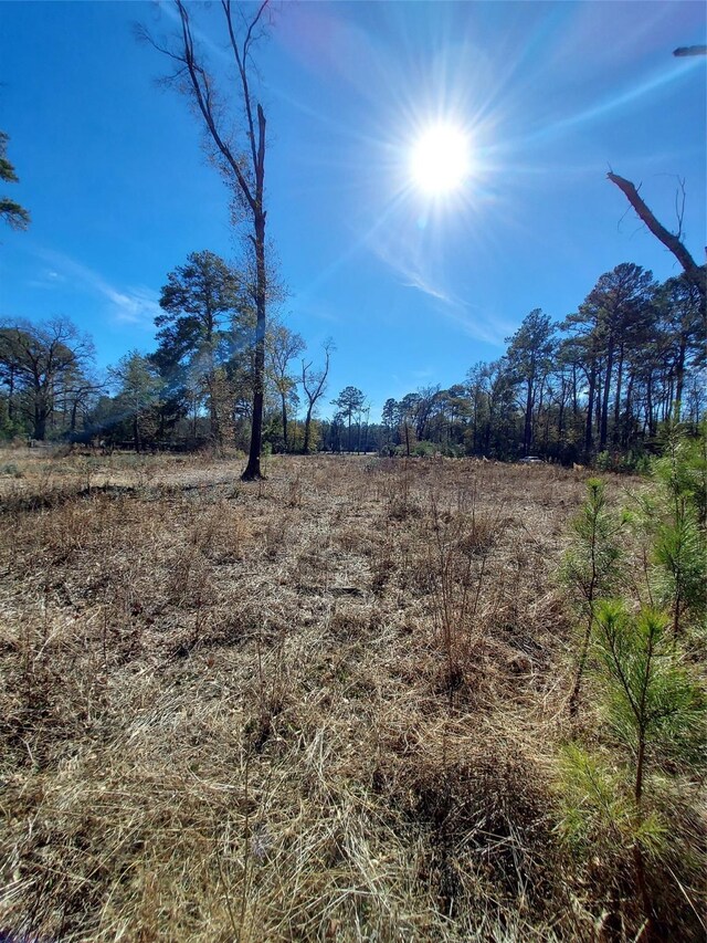 613 Fm 2663, Crockett, TX 75835 - photo 9