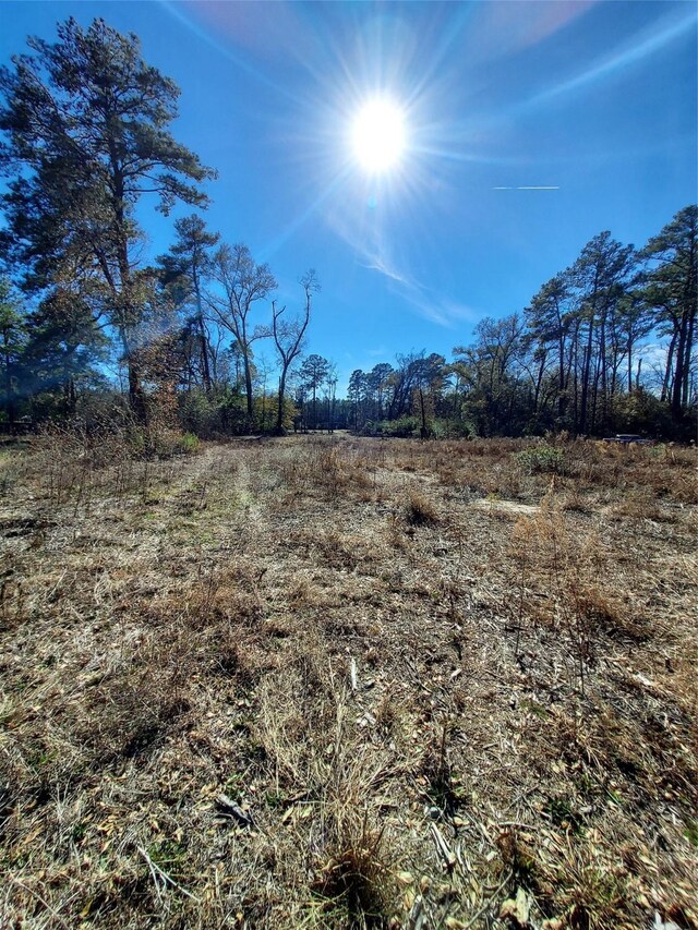 613 Fm 2663, Crockett, TX 75835 - photo 8